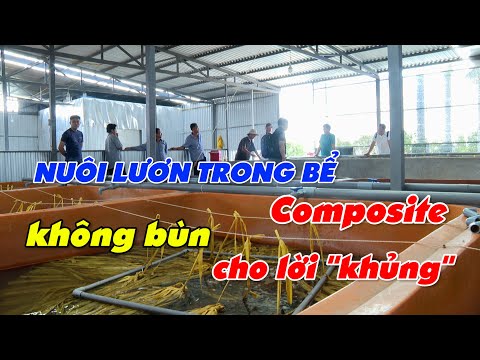 Video Nuôi lươn trong bể Composite không bùn - nuôi lươn... - youtube