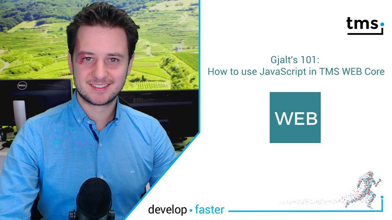Gjalt's 101: How to use JavaScript in TMS WEB Core - YouTube