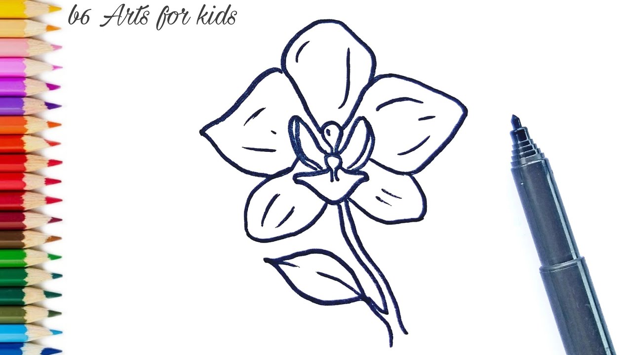 How to draw an orchid flower - YouTube