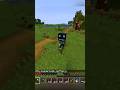 i choose you #minecraft #minecraftmemes #brainrot #brainrotcore #brainrotmemes #minecraftbrainrot