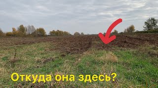 Откуда Такая Редкая Монета в этом поле?Копаю с Quest X5