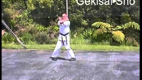 3rd Kyu Grading Syllabus