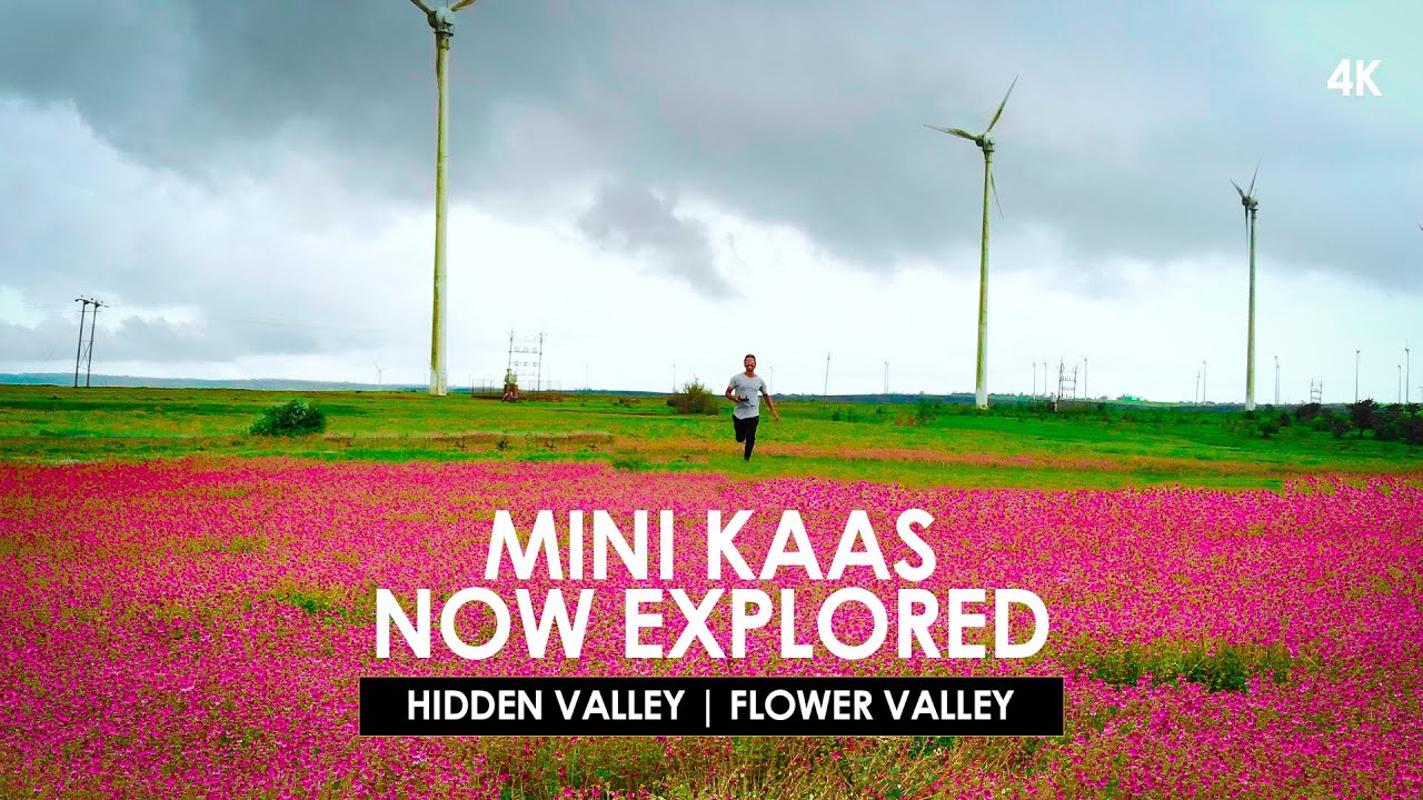 Secret Kaas Pathar India’s 2nd Beautiful Valley of Flowers Trek कास