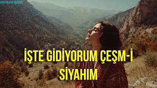 İşte Gidiyorum Çeşm - I Siyahım Psychedelic Anatolian Rock Cover