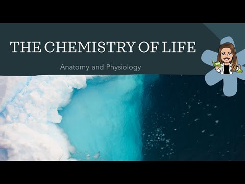 Anatomy and Physiology: The Chemistry of Life
