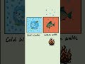 why do aquatic species feel more comfortable in cold water than warm water
