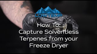 How To Capture Solventless Terpenes From Your Freeze Dryer