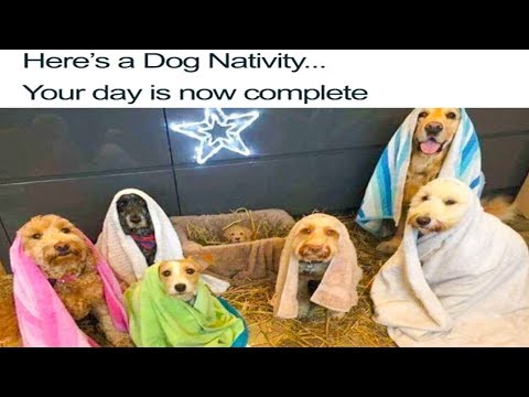 hilarious-christmas-memes