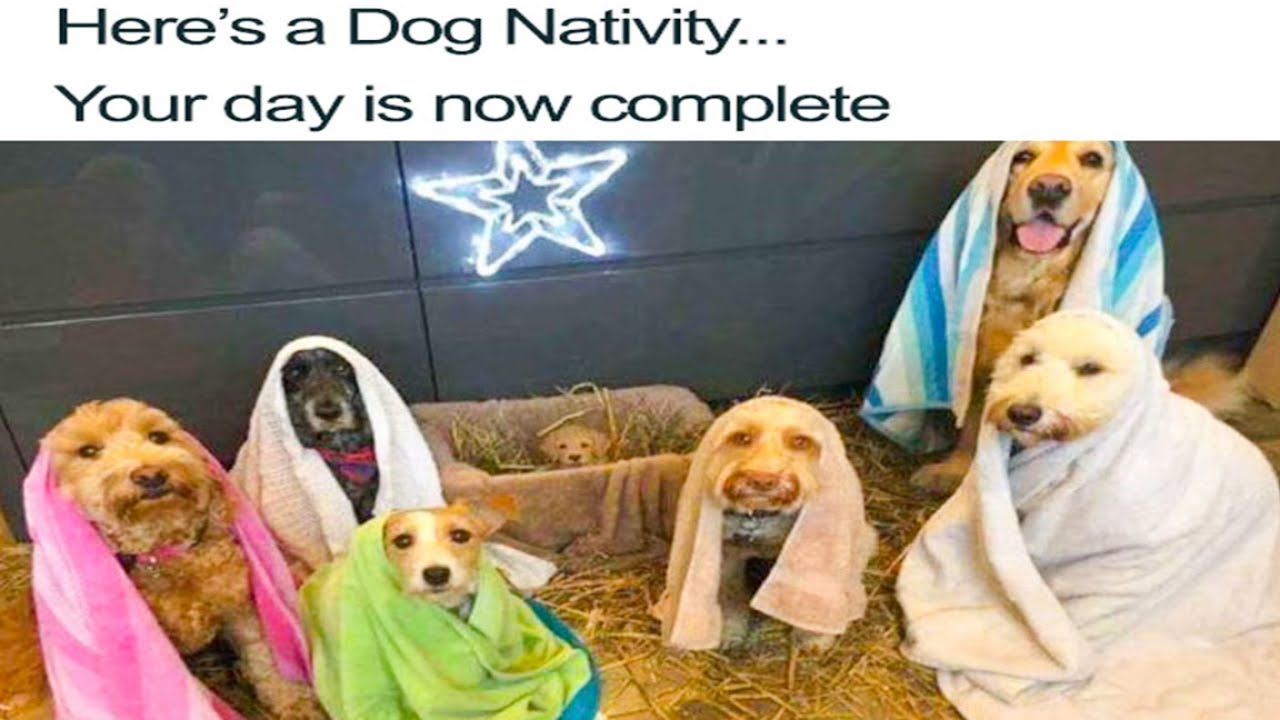 Hilarious Christmas Memes - YouTube
