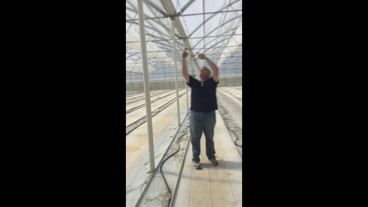 Greenhouse Condensation Abatement YouTube