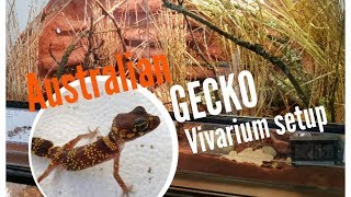 Natural Vivarium Setup  |  UNDERWOODISAURUS MILII