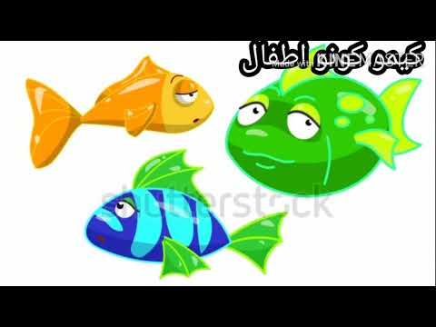 الثلاث سمكات والقرش المفترس
