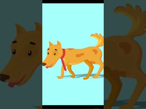 تجهيز ملفات الاليستراتور و الفوتوشوب لتحريكها علي موهو موهو 