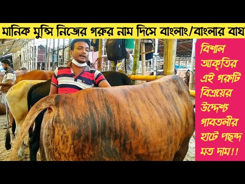 ভিডিও: কে কৃষি ও কৃষিকে মানবতা শিখিয়েছে?