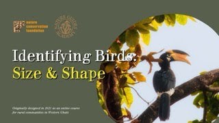 Episode 6(a): Identifying Birds: Size & Shape