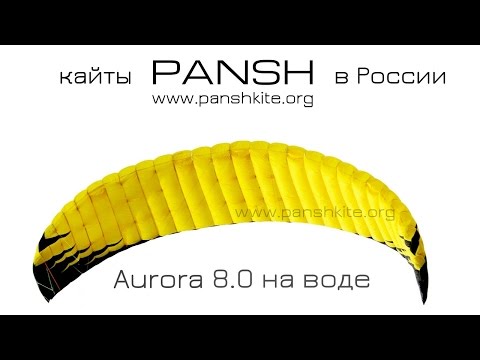 Pansh Aurora 8.0 (www.panshkite.org) ???? ?????????????? ????????