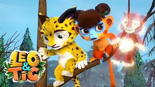 Leo and Tig  The Mysterious guest  Best episodes  Funny Family Good Animated Cartoon for Kids