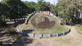 Ceasul floral din Timișoara în 2025