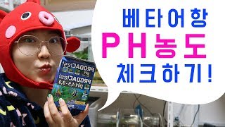 글라스장의 베타일기 - 베타어항의 PH를 측정해보자