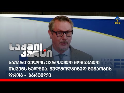 საქართველოს ევროპული მომავალი თქვენს ხელშია, გულმოდგინედ მუშაობის დროა -  ჰარცელი