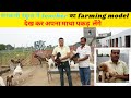 सरकारी स्कूल में teacher का अनोखा फार्मिंग मॉडल How to start Goat,Hen,Dog organic vegetables Farming