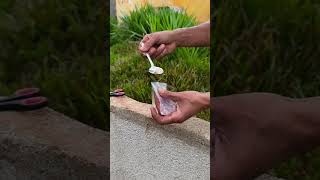 Cara Ampuh Mengatasi Kucing Bab Sembarangan Di Rumah