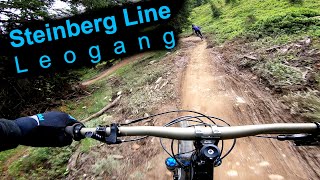 Steinberg Line - Leogang 2019 - Track Preview