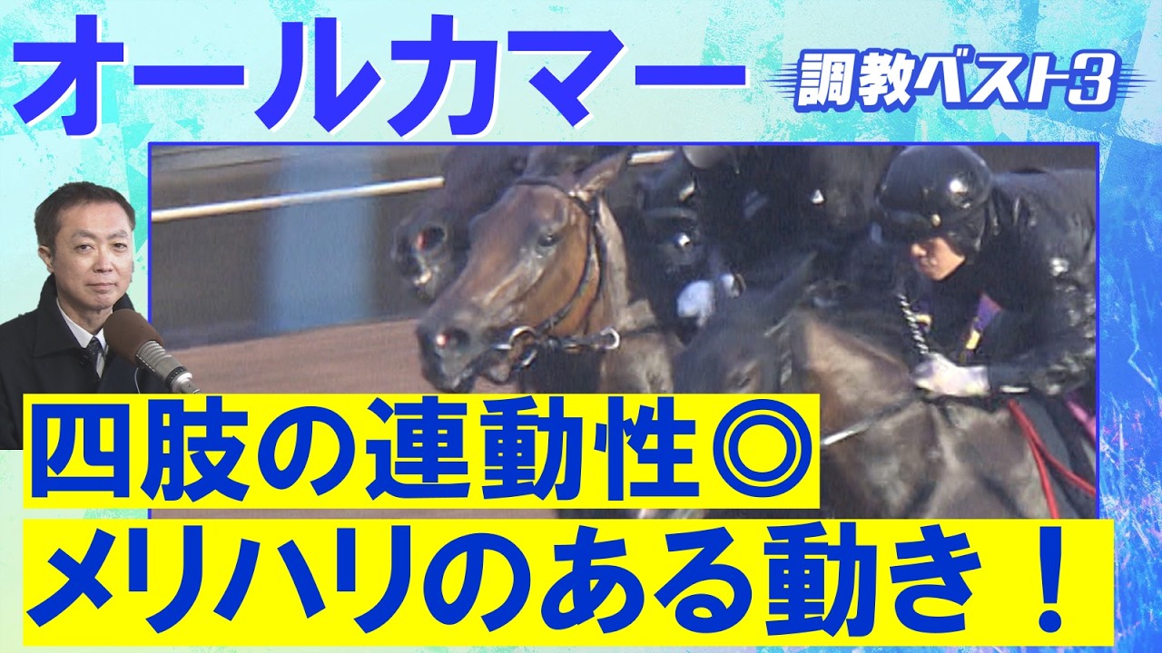 関連動画2