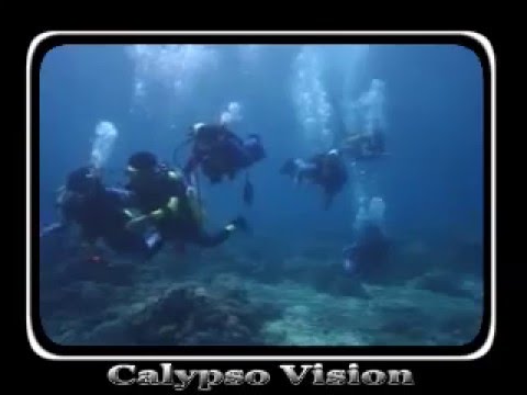 Twin sisters discover Scuba diving in the ocean ne...