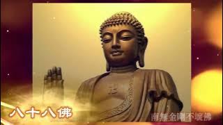 【佛曲八十八佛】蓮歌子/紫玄演唱