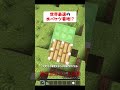 世界最速の水バケツ着地してみた #マイクラ #マインクラフト