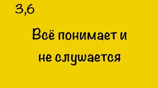 видео: ВСЁ ПОНИМАЕТ, НО НЕ СЛУШАЕТСЯ картинка: ВСЁ ПОНИМАЕТ, НО НЕ СЛУШАЕТСЯ