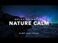 Instant Nature Calm, Beautiful Relaxation Dream Healing Music (Natural Calming Sleep Music)