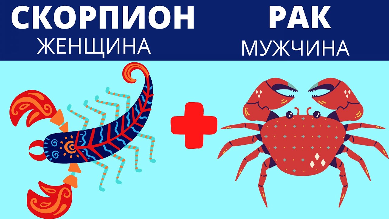 СКОРПИОН и РАК| СОВМЕСТИМОСТЬ #знакизодиака #астрология #гороскоп