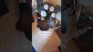 Steely Dan turbo mode (effects of Sativa study)