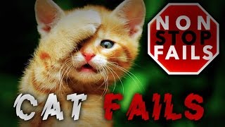 NonStop Cat Fails | Funny Cat Videos | Cats being stupid | Funny Cats 2016 by NonStop Fails 89,740 views 7 years ago 10 minutes, 21 seconds