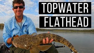 Big Topwater Flathead 80+