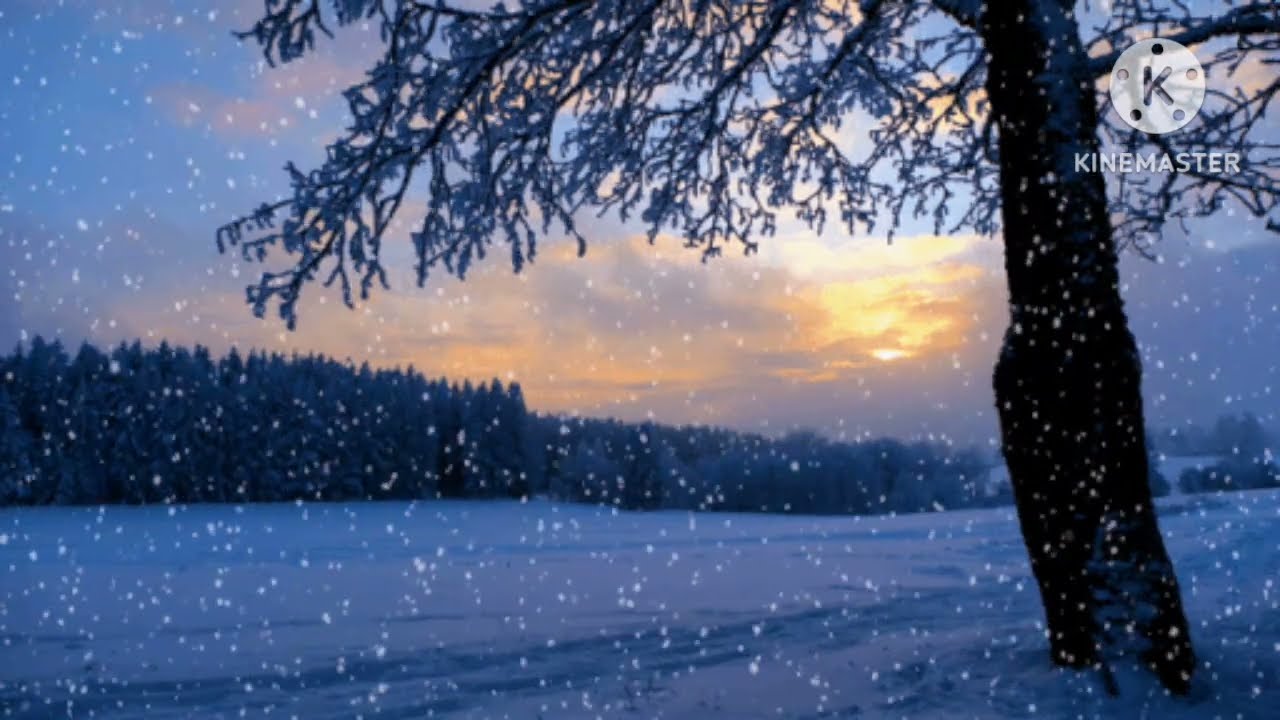 Lofi Hip Hop For Meditation & Relaxation #background music