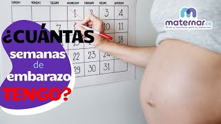 ¿Cómo calcular cuántas semanas de embarazo tengo? | Maternar.co screenshot 2