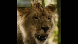 ⁣Волк спас льва от пули? #shorts #фильм