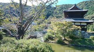 DSCF0724