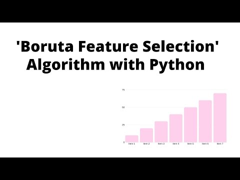 Lecture-48: Boruta Feature