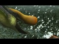 �������� Monster Hunter Portable 3rd - Qurupeco Ecology. Monster Hunter