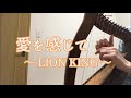 ベイビーハープ12弦（BabyHarp）で「愛を感じて」ライオン・キング / The Lion King - Can You Feel The Love Tonight