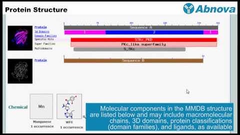 Protein Structure