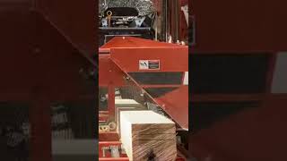 Sawing 6th Board From A Knotted Poplar