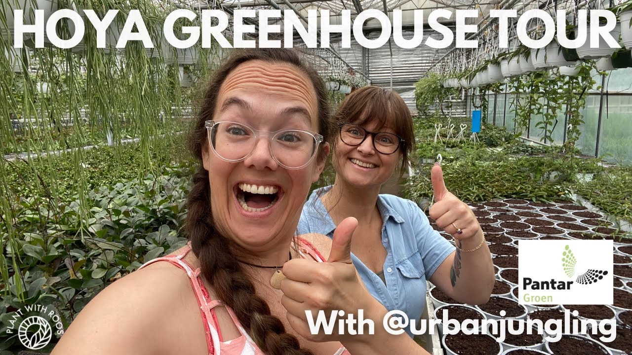 Hoya greenhouses tour with Pantar and @urbanjungling | Plant with Roos