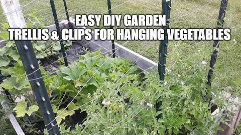 Easy DIY Garden Trellis & Clips For Hanging Fruit, Vegetables, Cucumbers,Tomatoes & Squash.
