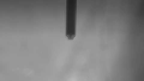 CoreAFM FluidFM cantilever centering with DIMO