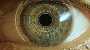 Eye With Tech Overlay Stock Motion Graphics